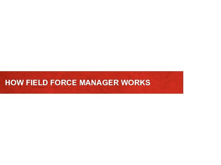 HOW FIELD FORCE MANAGER WORKS 