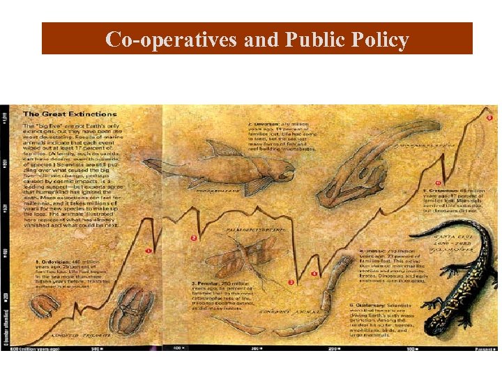 Co-operatives and Public Policy 