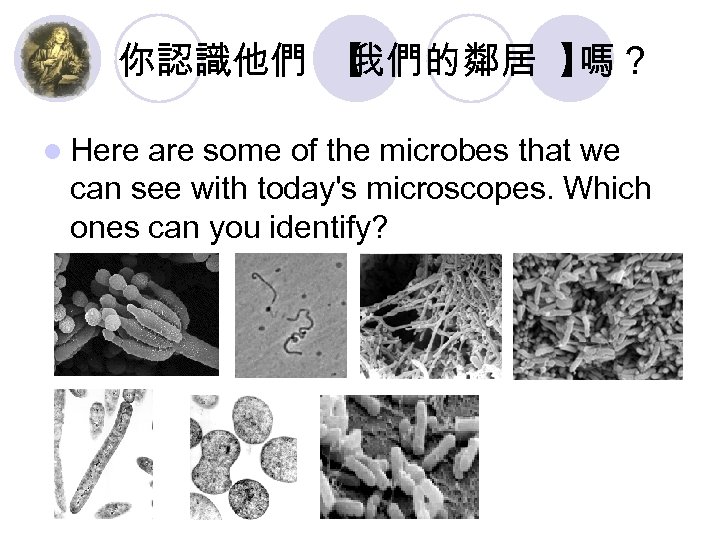 你認識他們 【 我們的鄰居 】 嗎？ l Here are some of the microbes that we