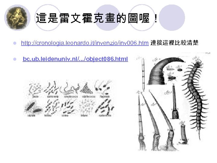 這是雷文霍克畫的圖喔！ l http: //cronologia. leonardo. it/invenzio/inv 006. htm 連接這裡比較清楚 l bc. ub. leidenuniv. nl/.