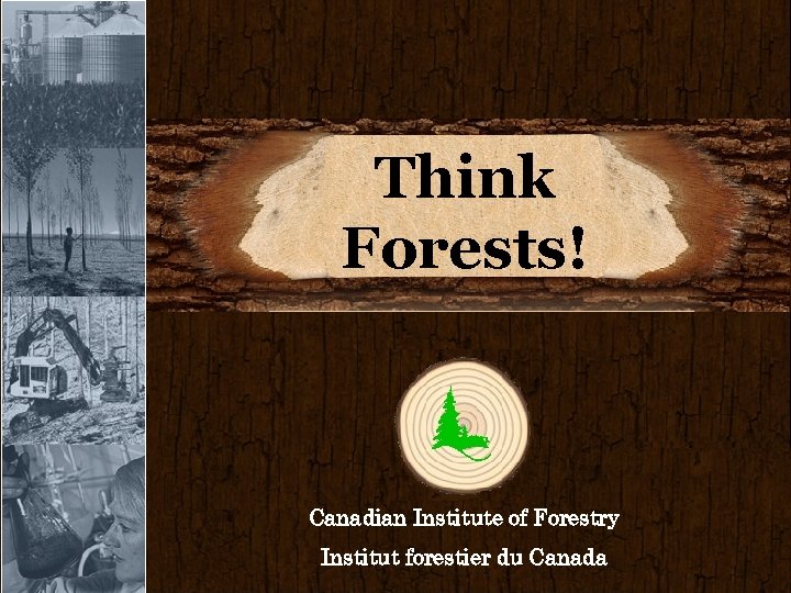 Think Forests! Canadian Institute of Forestry Institut forestier du Canada 