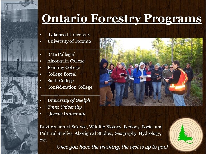 Ontario Forestry Programs • Lakehead University • University of Toronto ____________________________ • Cite Collegial