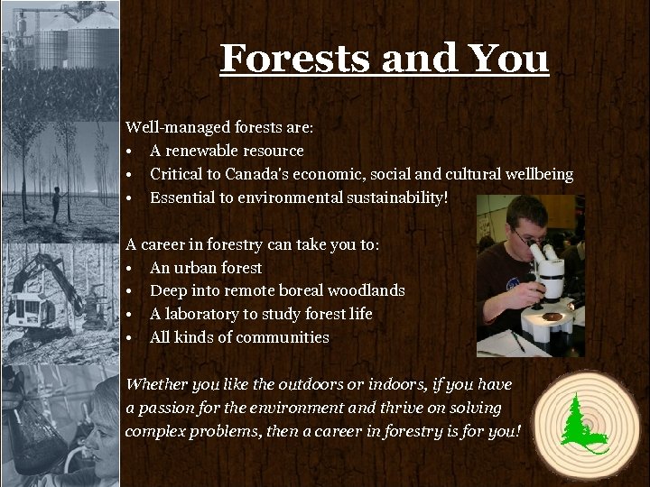 Forests and You Well-managed forests are: • A renewable resource • Critical to Canada's