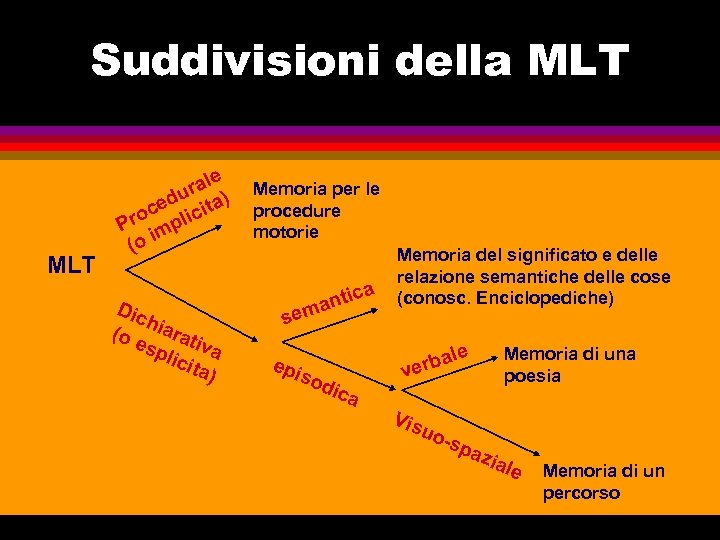 Suddivisioni della MLT e ral ) u ed cita c Pro mpli i (o