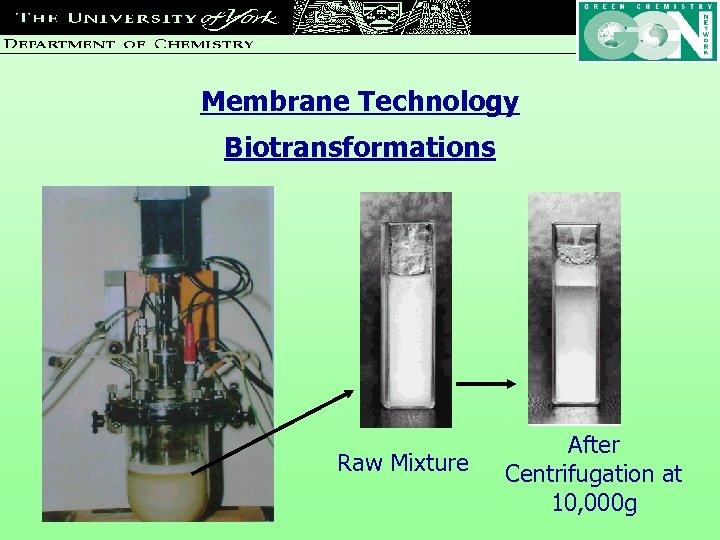 Membrane Technology Biotransformations Raw Mixture After Centrifugation at 10, 000 g 
