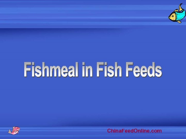 China. Feed. Online. com 