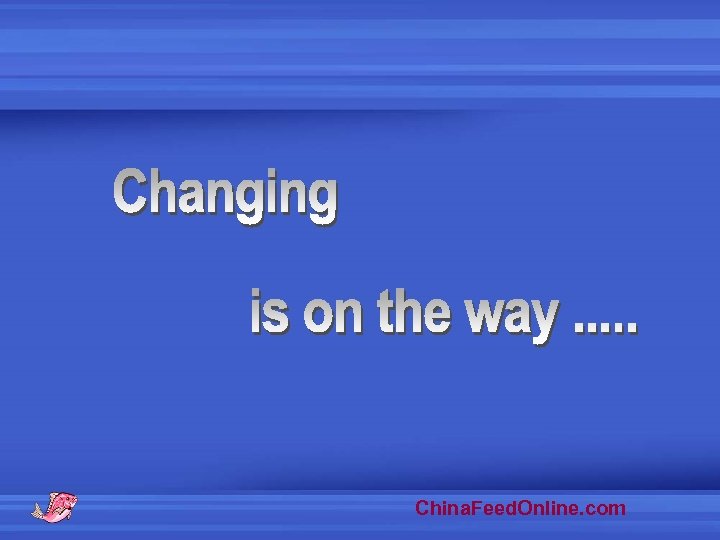 China. Feed. Online. com 
