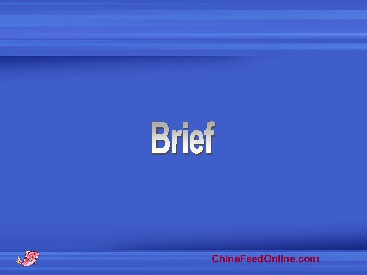 China. Feed. Online. com 