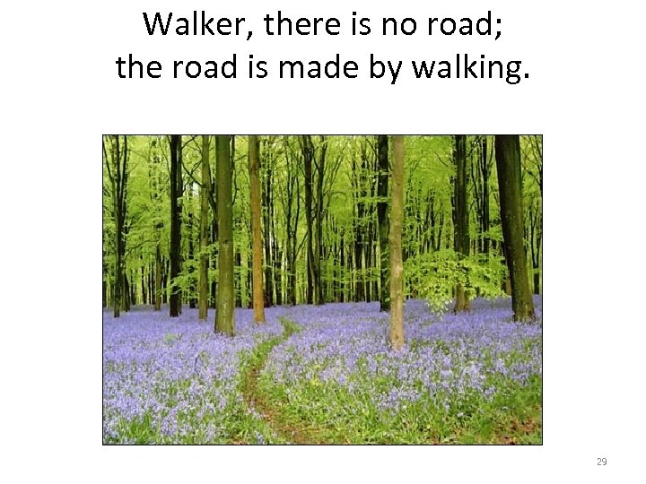 Walker, there is no road; the road is made by walking. 29 