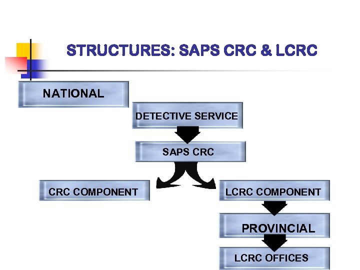 STRUCTURES: SAPS CRC & LCRC NATIONAL DETECTIVE SERVICE SAPS CRC COMPONENT LCRC COMPONENT PROVINCIAL