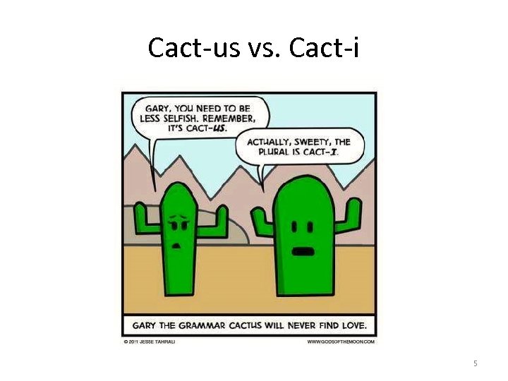 Cact-us vs. Cact-i 5 