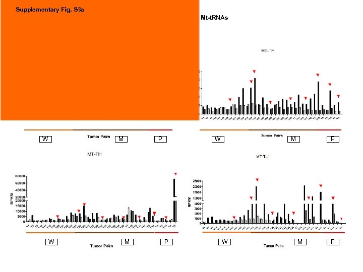 Supplementary Fig. S 3 a 9 upregulated Mt-t. RNAs W M W P M