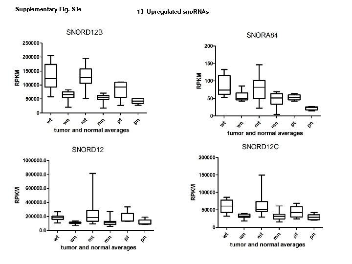 Supplementary Fig. S 3 e 13 Upregulated sno. RNAs 