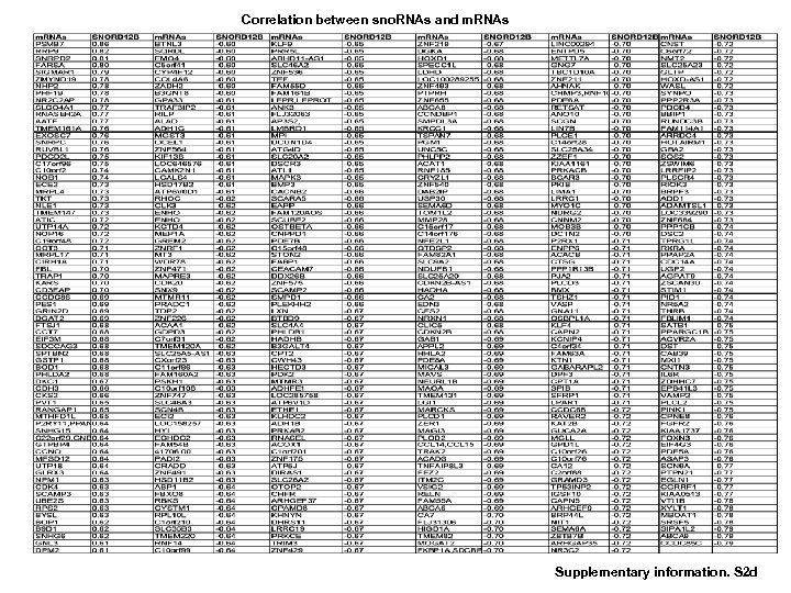 Correlation between sno. RNAs and m. RNAs Supplementary information. S 2 d 