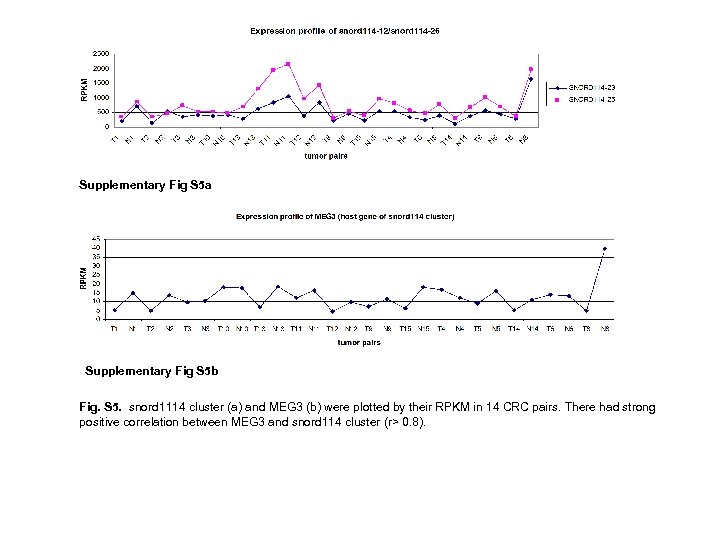 Supplementary Fig S 5 a Supplementary Fig S 5 b Fig. S 5. snord
