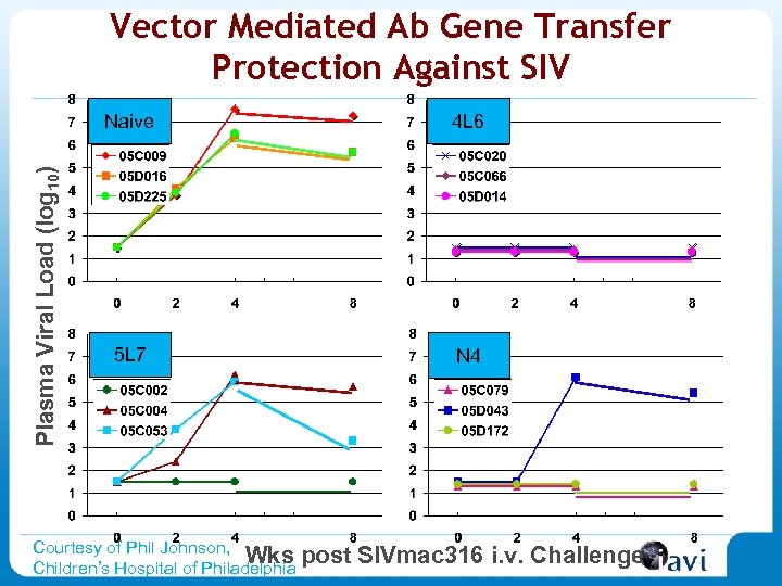 Vector Mediated Ab Gene Transfer Protection Against SIV Plasma Viral Load (log 10) Naive