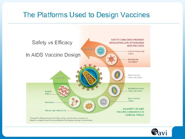 The Platforms Used to Design Vaccines Safety vs Efficacy In AIDS Vaccine Design 