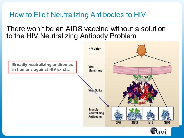 How to Elicit Neutralizing Antibodies to HIV There won’t be an AIDS vaccine without