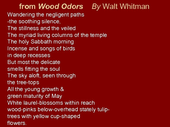 from Wood Odors By Walt Whitman Wandering the negligent paths -the soothing silence, The