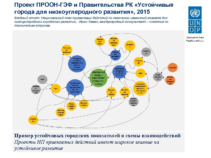 Проект политика