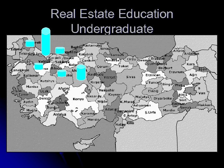 Real Estate Education Undergraduate 