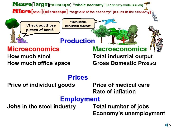 Macro[large](telescope) “whole economy” [economy-wide issues] Macro Micro[small](microscope] “segment of the economy” [issues in the