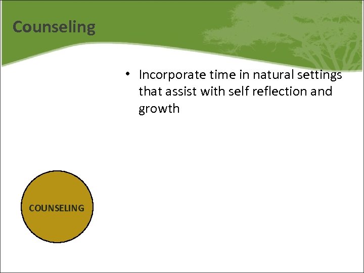 Counseling • Incorporate time in natural settings that assist with self reflection and growth