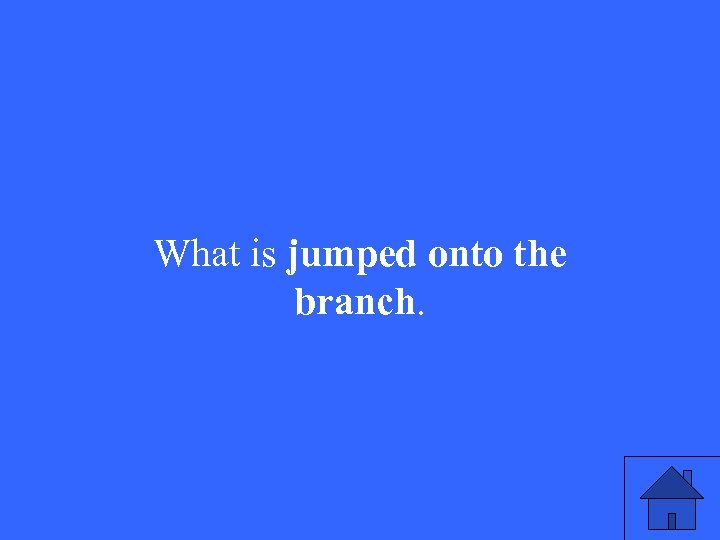 What is jumped onto the branch. 