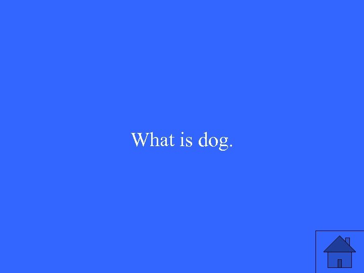 What is dog. 