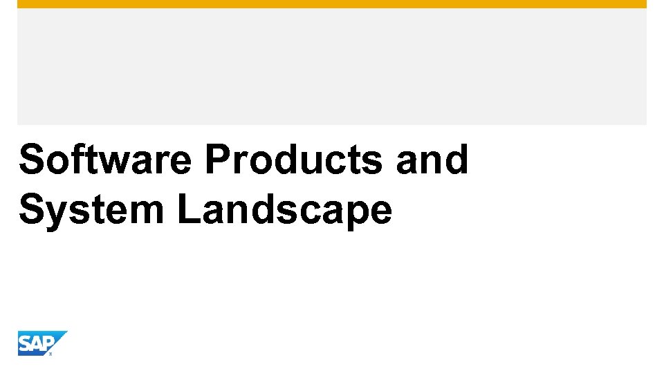 Software Products and System Landscape 