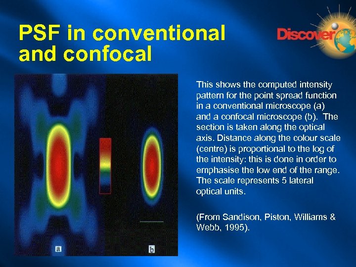 PSF in conventional and confocal This shows the computed intensity pattern for the point