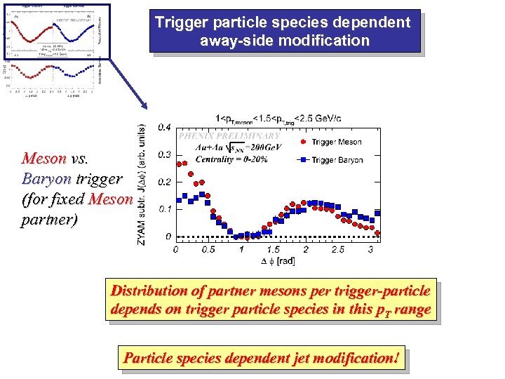 Trigger particle species dependent away-side modification Meson vs. Baryon trigger (for fixed Meson partner)