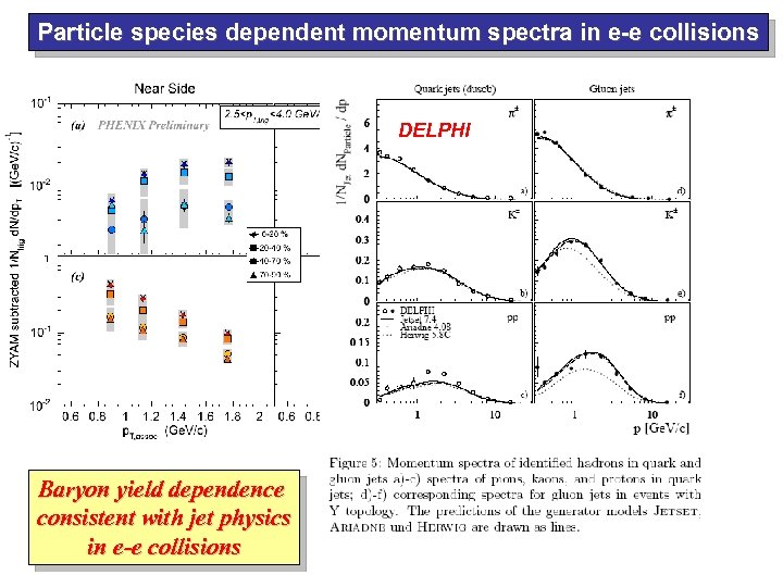 Particle species dependent momentum spectra in e-e collisions DELPHI Baryon yield dependence consistent with