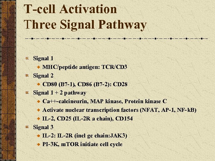 T-cell Activation Three Signal Pathway Signal 1 MHC/peptide antigen: TCR/CD 3 Signal 2 CD