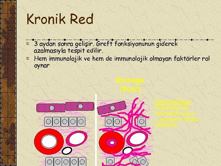 Kronik Red 3 aydan sonra gelişir. Greft fonksiyonunun giderek azalmasıyla tespit edilir. Hem immunolojik