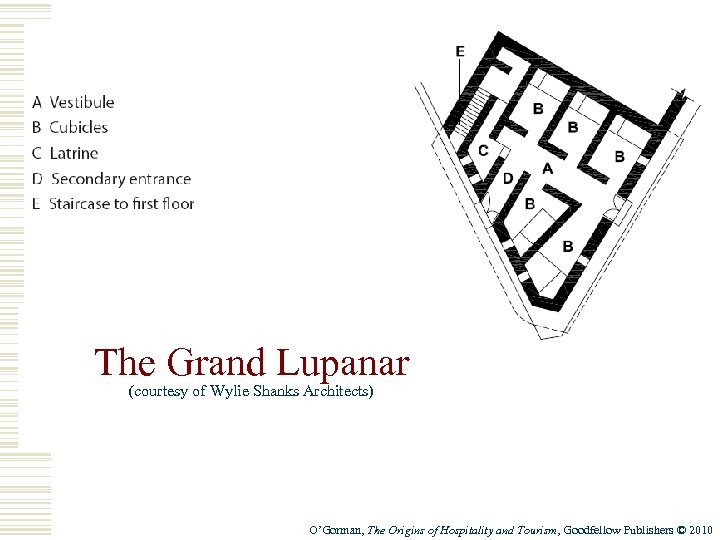 The Grand Lupanar (courtesy of Wylie Shanks Architects) O’Gorman, The Origins of Hospitality and
