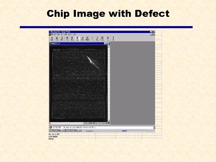 Chip Image with Defect 