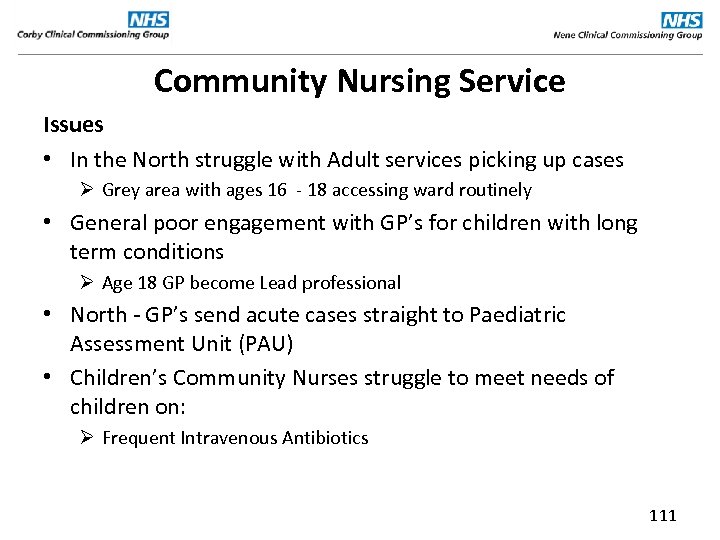 Community Nursing Service Issues • In the North struggle with Adult services picking up