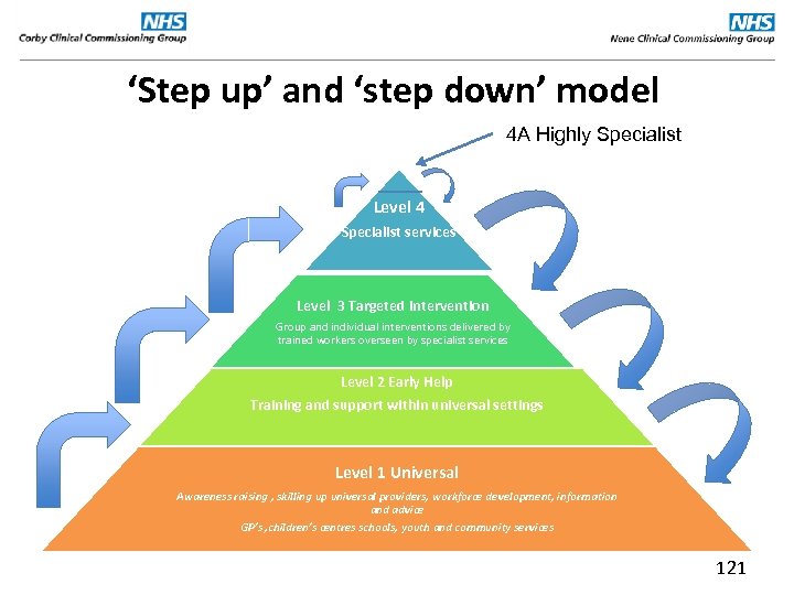 ‘Step up’ and ‘step down’ model 4 A Highly Specialist Level 4 Specialist services