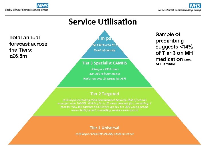 Service Utilisation Total annual forecast across the Tiers: c£ 6. 5 m Tier 4