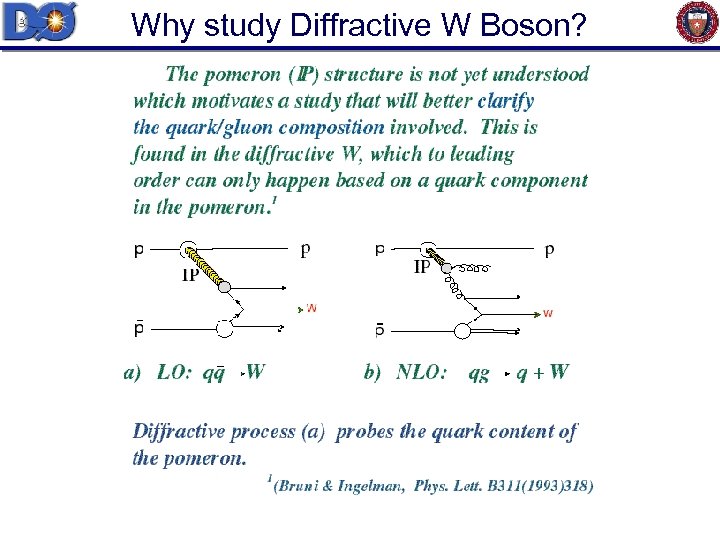 Why study Diffractive W Boson? 