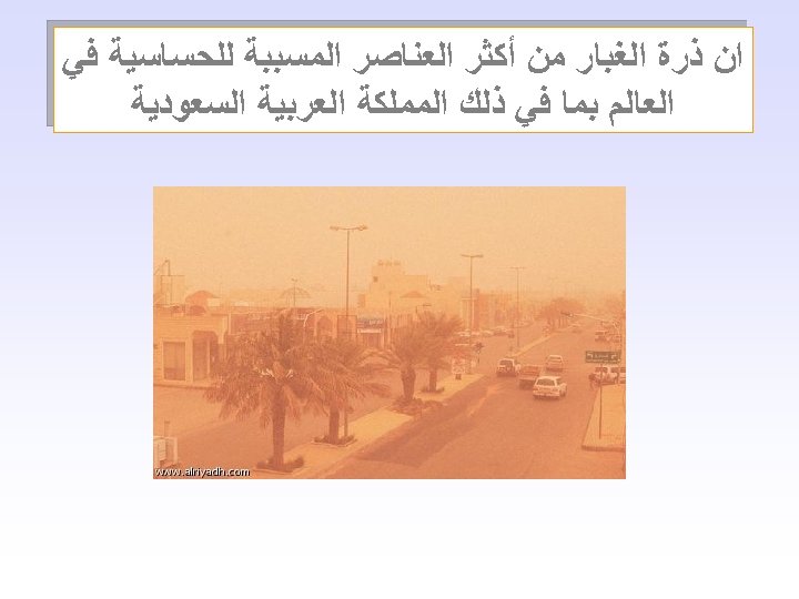  ﺍﻥ ﺫﺭﺓ ﺍﻟﻐﺒﺎﺭ ﻣﻦ ﺃﻜﺜﺮ ﺍﻟﻌﻨﺎﺻﺮ ﺍﻟﻤﺴﺒﺒﺔ ﻟﻠﺤﺴﺎﺳﻴﺔ ﻓﻲ ﺍﻟﻌﺎﻟﻢ ﺑﻤﺎ ﻓﻲ ﺫﻟﻚ