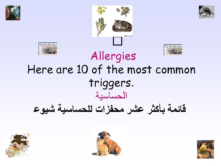  Allergies Here are 10 of the most common triggers. ﺍﻟﺤﺴﺎﺳﻴﺔ ﻗﺎﺋﻤﺔ ﺑﺄﻜﺜﺮ ﻋﺸﺮ