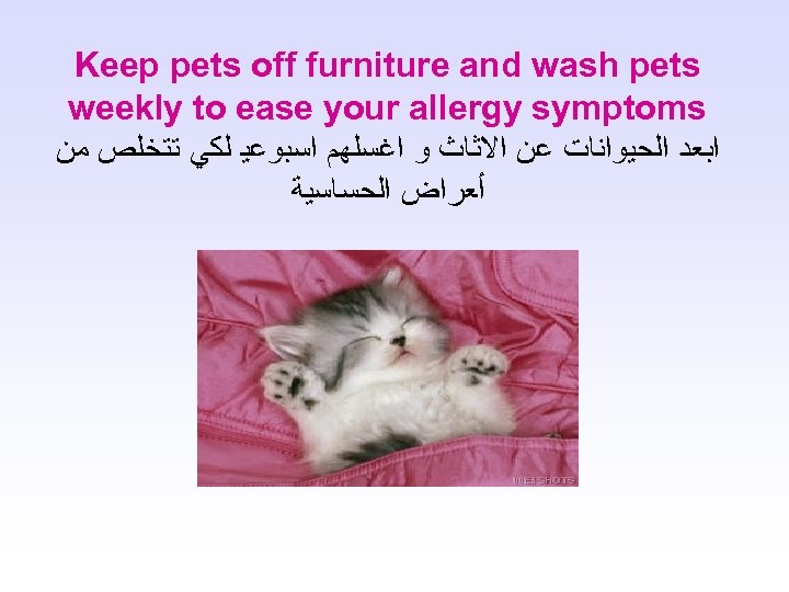 Keep pets off furniture and wash pets weekly to ease your allergy symptoms ﺍﺑﻌﺪ