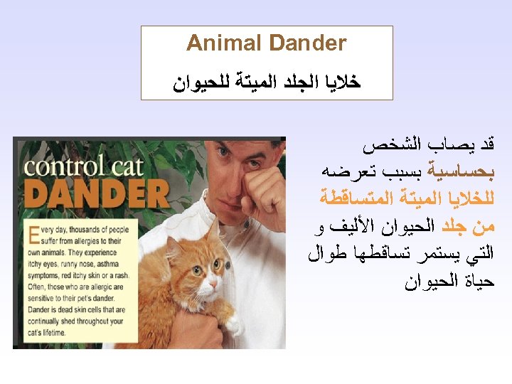  Animal Dander ﺧﻼﻳﺎ ﺍﻟﺠﻠﺪ ﺍﻟﻤﻴﺘﺔ ﻟﻠﺤﻴﻮﺍﻥ ﻗﺪ ﻳﺼﺎﺏ ﺍﻟﺸﺨﺺ ﺑﺤﺴﺎﺳﻴﺔ ﺑﺴﺒﺐ ﺗﻌﺮﺿﻪ ﻟﻠﺨﻼﻳﺎ