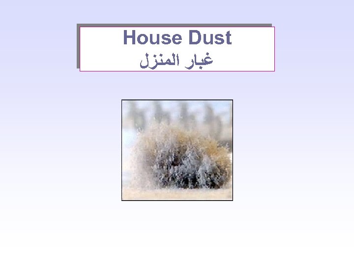  House Dust ﻏﺒﺎﺭ ﺍﻟﻤﻨﺰﻝ 