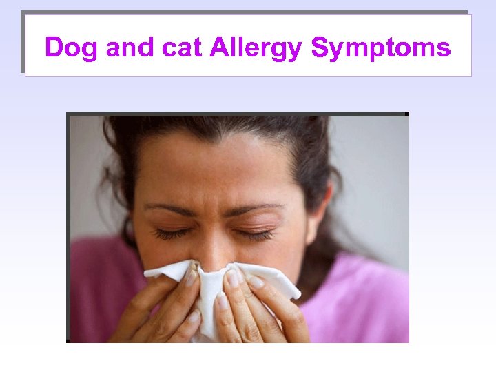 Dog and cat Allergy Symptoms 