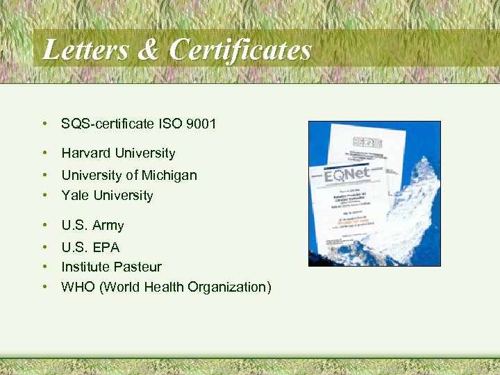 Letters & Certificates • SQS-certificate ISO 9001 • Harvard University • University of Michigan