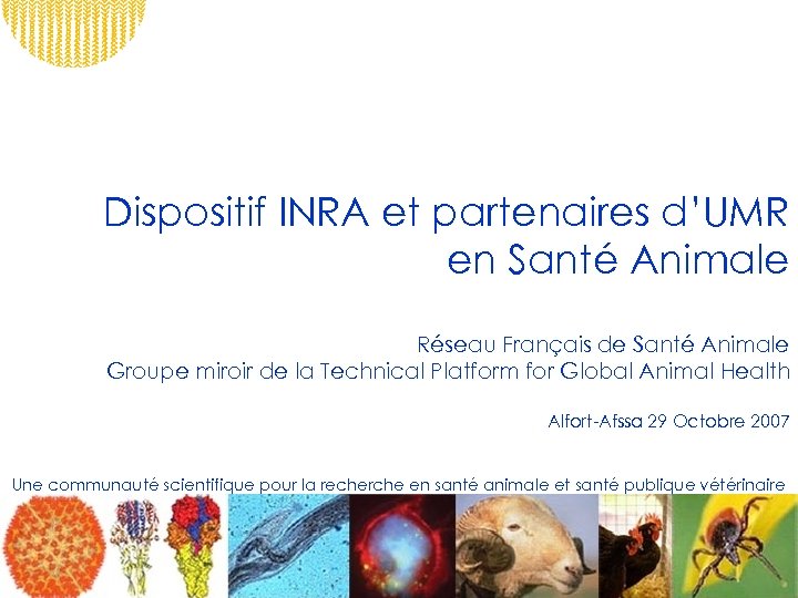 Dispositif INRA et partenaires d’UMR en Santé Animale Réseau Français de Santé Animale Groupe