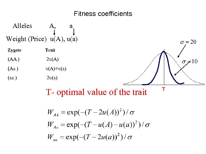 Fitness coefficients Alleles A, a Weight (Price) u(A), u(a) Zygote Trait (AA ) 2